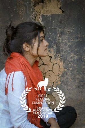 Hello Arsi (2018) poster