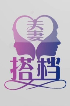 夫妻搭档 (2017) poster