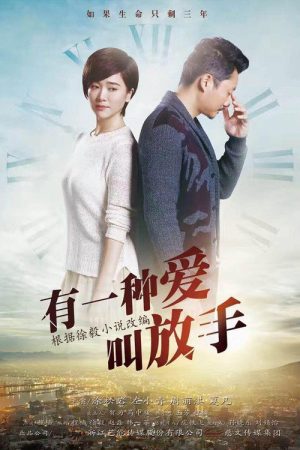 家年华 (2016) poster