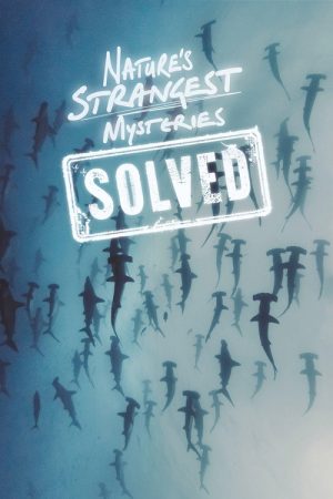Nature’s Strangest Mysteries: Solved (2019) poster