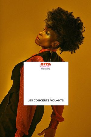 Les Concerts Volants (2017) poster