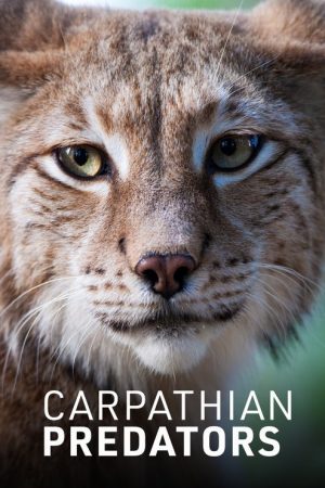 Carpathian Predators (2019) poster