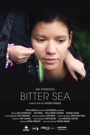 Bitter Sea (2018) poster