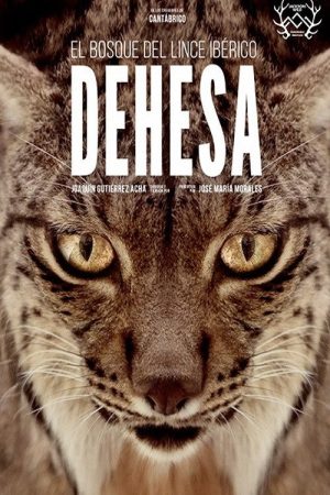 Dehesa: The Forest of the Iberian Lynx (2020) poster