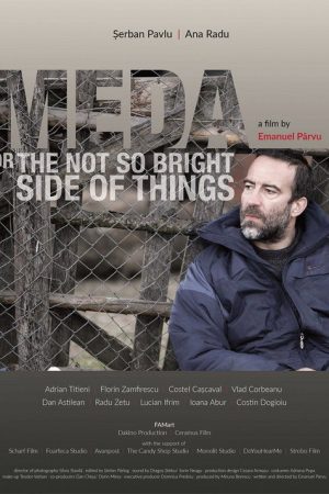 Meda or The Not So Bright Side of Things (2017) poster