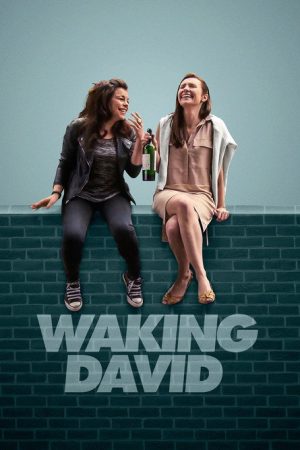 Waking David (2016) poster
