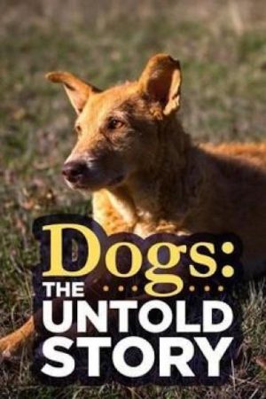 Dogs: The Untold Story (2017) poster
