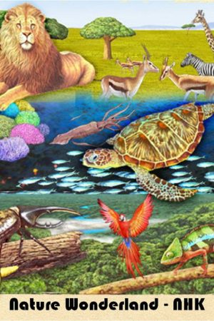 Nature Wonderland(NHK) (2018) poster