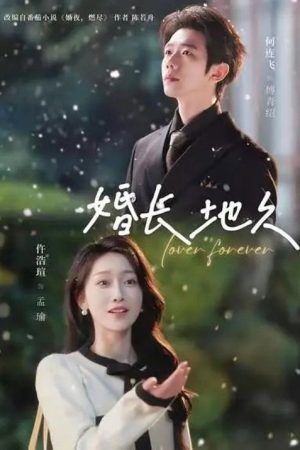 婚长地久 (2026) poster