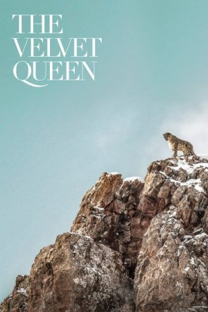 The Velvet Queen (2021) poster