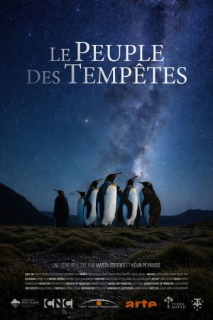 Animals of the Tempest (2026) poster
