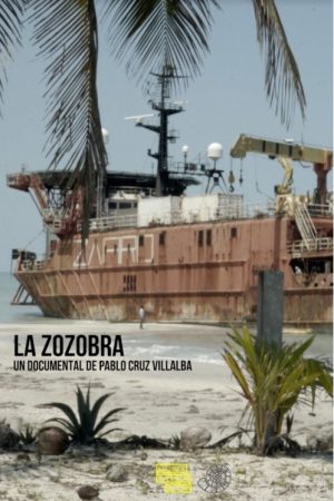 The Capsize (2020) poster