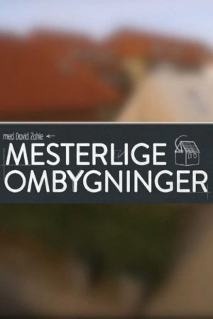 Masterful Remodels (2016) poster