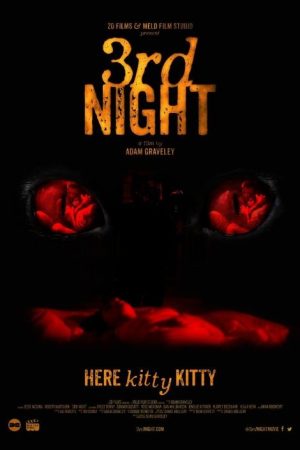 3rd Night (2017) poster