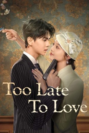 Too Late to Love (2025) poster