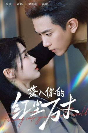 落入你的红尘万丈 (2025) poster