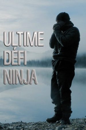 Ultimate Ninja Challenge (2018) poster