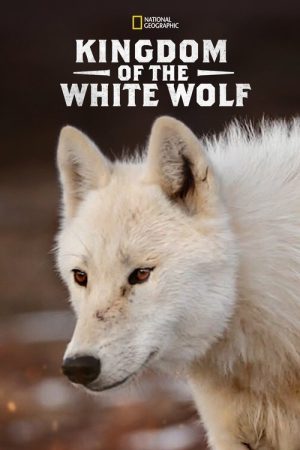 Kingdom of the White Wolf (2019) poster