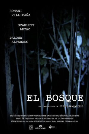 El Bosque (2019) poster