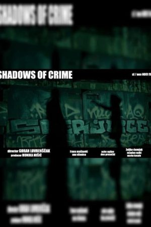Shadows of Crime (2025) poster
