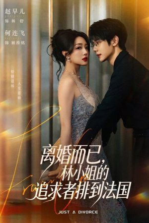 离婚而已，林小姐的追求者排到法国 (2026) poster