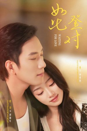如此登对 (2026) poster