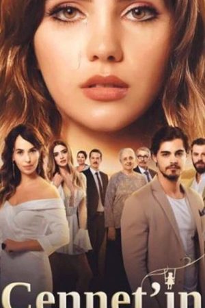 ΤΑ ΔΑΚΡΥΑ ΤΗΣ ΤΖΕΝΕΤ (2017) poster