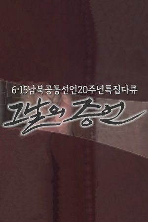 6.15 남북공동선언 20주년 특집다큐  (2020) poster