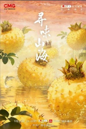寻味山海 (2025) poster