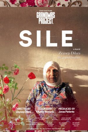 Şile (2022) poster