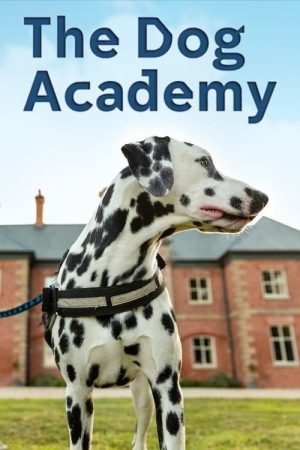 Bad Dog Academy (2023) poster