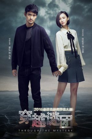 Through The Mystery (2016) poster