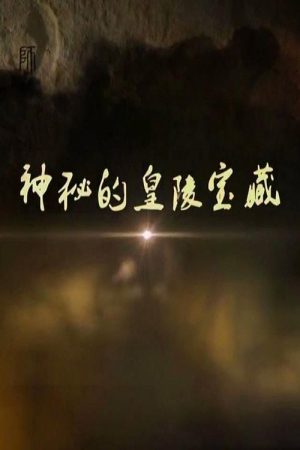 神秘的皇陵宝藏 (2017) poster