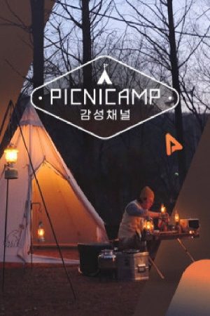 PICNICAMP 감성채널 (2020) poster