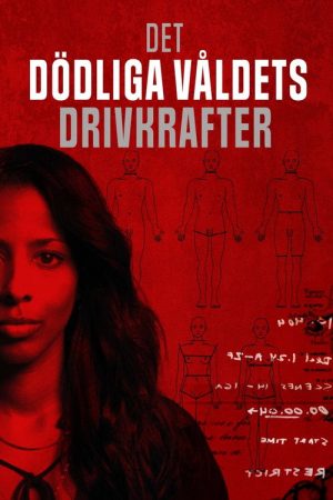 Det dödliga våldets drivkrafter (2025) poster