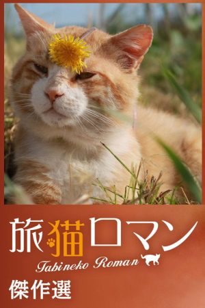 Tabineko Roman Kessakusen (2021) poster