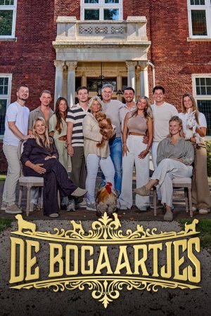 De Bogaartjes (2026) poster