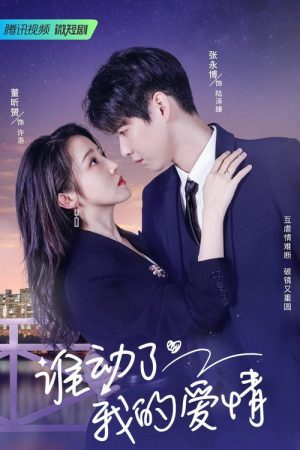 Love Starts After Divorce (2023) poster