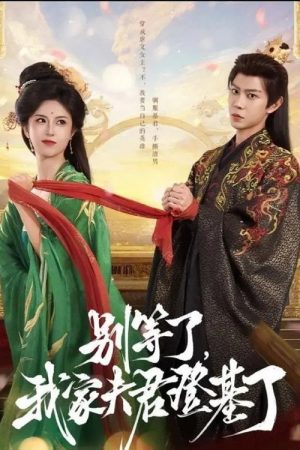 别等了，我家夫君登基了 (2025) poster