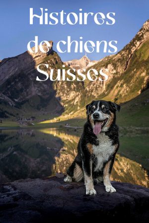 Schweizer Hundegeschichten (2022) poster