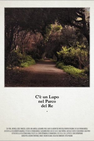 There’s a Wolf in the Park of the King (2020) poster