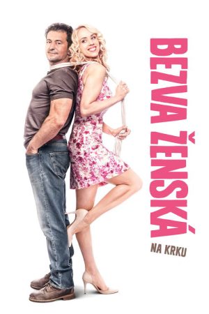 Stuck with a Perfect Woman (2016) poster