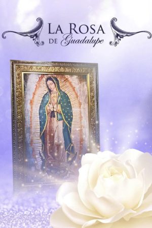 La Rosa De Guadalupe (2020) poster