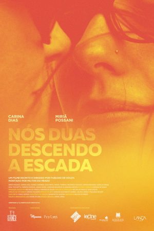 Two Girls Descending the Stairs (2016) poster