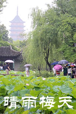 晴雨梅天 (2020) poster