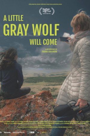A Little Gray Wolf Will Come (2025) poster