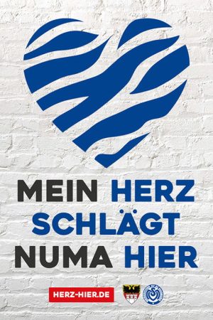 MSV poster