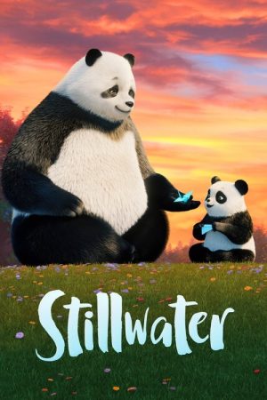 Stillwater (2020) poster