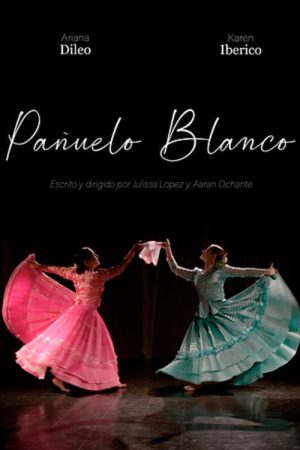 Pañuelo blanco (2024) poster