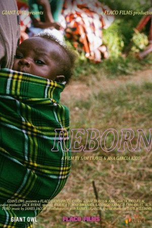 Reborn (2020) poster